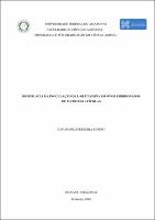 Dissertação_João Paulo F. Rufino.pdf.jpg