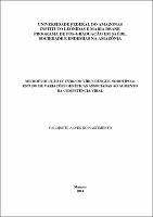 Dissertação_Valdinete A. Nascimento.pdf.jpg