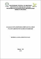 Dissertação_George Allan Villarouco da Silva.pdf.jpg