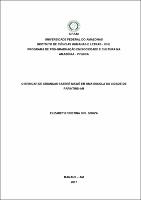 Dissertação -Elizabeth Cristina Siel.pdf.jpg