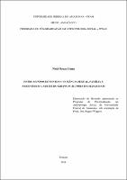 DissertaçãoParcial (Cap. I-4) - Natã Lima.pdf.jpg