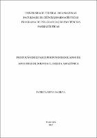 Dissertação_Patrícia Mota Silva.pdf.jpg