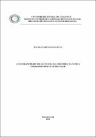 Dissertação_Eluana Silva.pdf.jpg