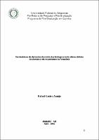 Dissertação -  Rafael Castro Araujo.jpg