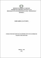 Dissertação_Sigrid Brito PPGPSI.jpg