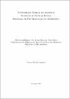 Dissertação_Vinicius Bandeira PPGM.jpg