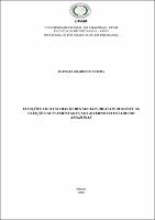 DISSERTAÇÃO VERSÃO FINAL PDF.pdf.jpg