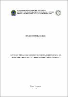 Dissertação_Eduardo Pereira.jpg