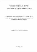 Dissertação_ConsueloClebsch_PPGGEO.jpg
