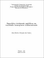Dissertação_João Marques_PPGM.jpg