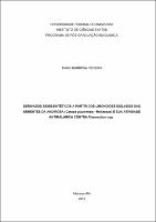 Tese_TiagoPereira_PPGQ.pdf.jpg