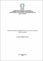 Dissertação_RicardoBrito_BIOTEC.pdf.jpg