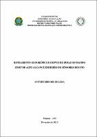 Tese_MoysesLima_PPGI.pdf.jpg