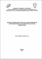 Tese_RachidZacariasFilho_BIONORTE.pdf.jpg