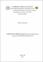 Dissertação_VilséliaPires_PPGCASA.pdf.jpg