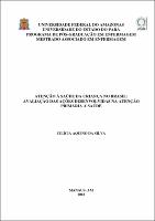 Dissertação_CilíciaSilva_PPGENF.pdf.jpg
