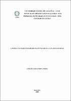 Dissertação_JoséFélixCostaFilho_PPGL.pdf.jpg