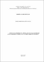 Dissertação_FelipeAlves_PPGECIM.pdf.jpg