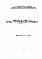Tese_MarcosFlávioVeras_PPGAS.pdf.jpg