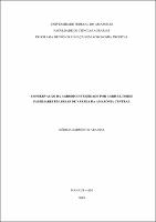Dissertação_KédimaAbadias_PPGAT.pdf.jpg