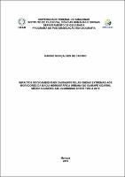 Dissertação_RaioneCastro_PPGEOG.pdf.jpg