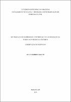 Dissertação_BrunaMatuti_PPGEC.pdf.jpg