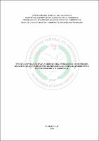 Dissertação_MariadaSilva_PPGCA.pdf.jpg