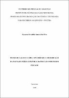 Dissertação_RayannaSilva_PPGCTRA.pdf.jpg