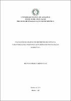 Tese_BrunoDias_PPGI.pdf.jpg