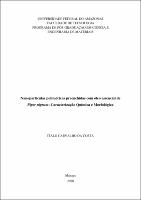 Dissertação_ÍtaloCosta_PPGCEM.pdf.jpg