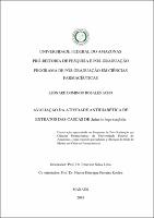 Dissertação_LeonardAcho_PPGCF.pdf.jpg