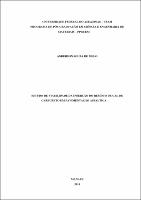 Dissertação_AndersonSouza_PPGCEM.pdf.jpg