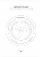 Dissertação_BrunaEnck_PPGAT.pdf.jpg