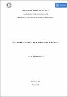 Dissertação_CelsoSchererFilho_PPGCAN.pdf.jpg