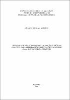 Tese_AnandaAntonio_PPGQ.pdf.jpg