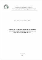 Dissertação_PPGEOG_ EldaSilva.pdf.jpg