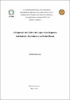 Dissertação_AbdulaiSeca_PPGCASA.pdf.jpg