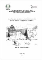 Dissertação_SilvioSanches_PPGAS.pdf.jpg