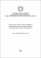 Dissertação_MarcosBrainer_PPGCIFA.pdf.jpg