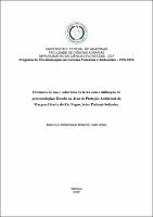 Dissertação_MarcosBrainer_PPGCIFA.pdf.jpg