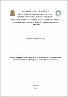 Dissertação_IraneideMafra_PPGENF.pdf.jpg