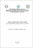 Dissertação Tereza Raquel N N Costa (PPGSS-UFAM).pdf.jpg