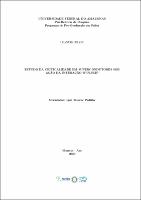 Dissertação_Leandro Gomes_PPGFIS.pdf.jpg