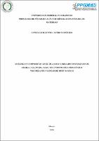 Dissertação_AnneKarollynne_PPGCEM.pdf.jpg