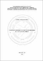 Dissertação_SamuelAntónio_PPGCH.pdf.jpg