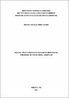 Dissertação_ReinatoXavier_PPGCA.pdf.jpg