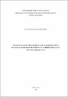 Dissertação_LuanaPolinesio_PPGAT.pdf.jpg