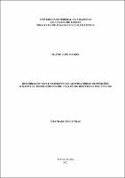 Dissertação_FlavioSoares_PPGL.pdf.jpg