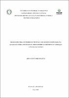 Dissertação_ArmandoPrestes_PPGCARP.pdf.jpg