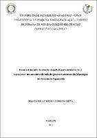 Dissertacao_BiancaKelly_PPGCF.pdf.jpg